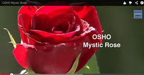OSHO Mystic Rose